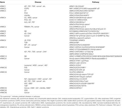 ARMC Subfamily: Structures, Functions, Evolutions, Interactions, and Diseases